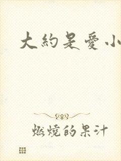 大约是爱小说