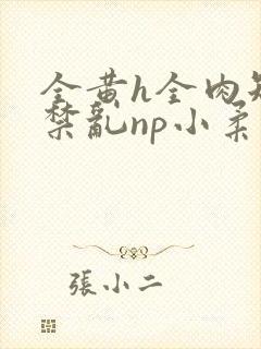 全黄h全肉短篇禁乱np小柔