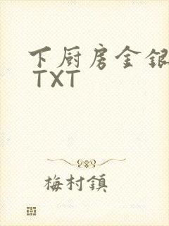 下厨房金银花露 TXT