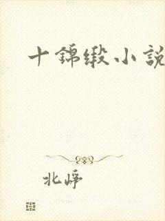 十锦缎小说