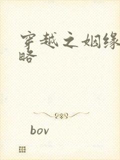 穿越之姻缘劫攻略