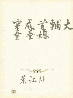 穿成首辅大人的童养媳