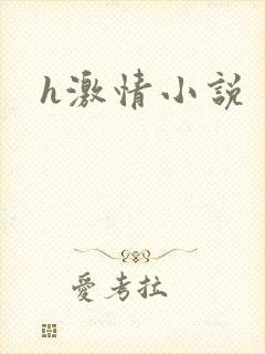 h激情小说
