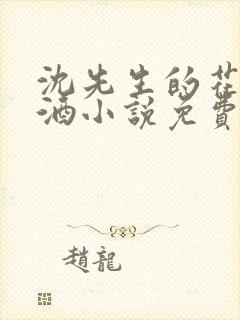 沈先生的花式调酒小说免费阅读