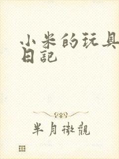 小米的玩具羞辱日记