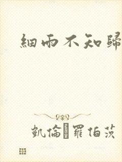 细雨不知归