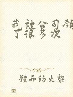 我被公司领导C了很多次