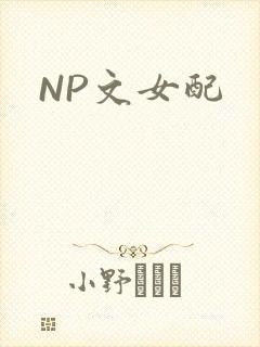 NP文女配