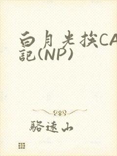白月光挨CAO记(NP)