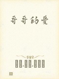 哥哥的爱