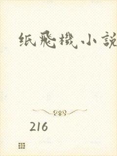 纸飞机小说