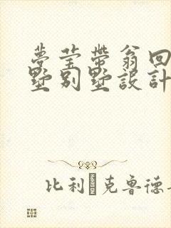 梦莹带翁回乡别墅别墅设计