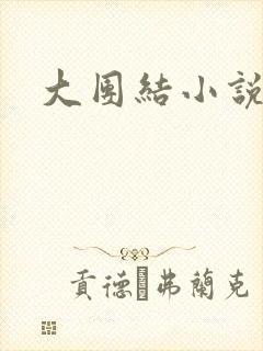 大团结小说全文