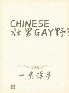 CHINESE壮男GAY野战强迫TUBE