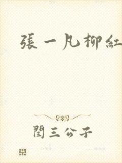 张一凡柳红