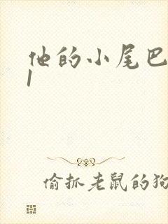 他的小尾巴1v1