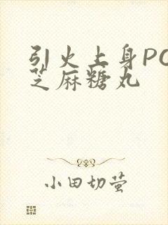 引火上身POP芝麻糖丸