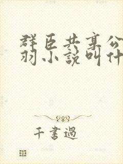 群臣共享公主银羽小说叫什么