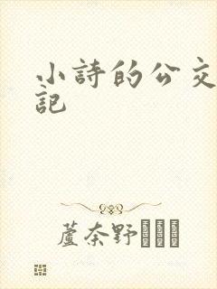 小诗的公交车日记