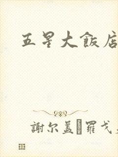 五星大饭店小说
