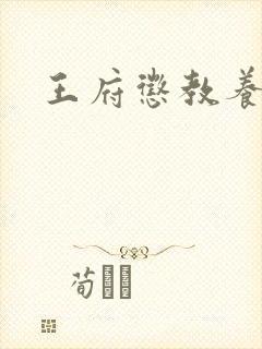 王府惩教养日常