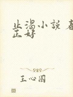 止渴小说 春光正好