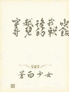 穿越后我吃到了哥儿的软饭炉山灰