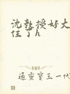 沈教授好大含不住了h