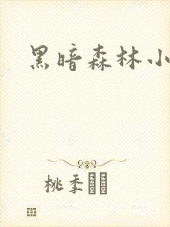 黑暗森林小说
