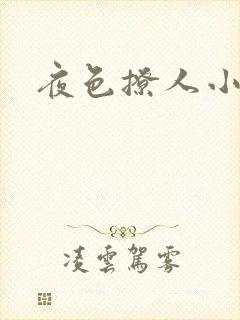 夜色撩人小说