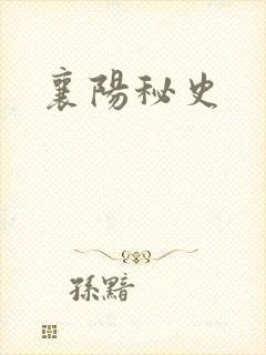 襄阳秘史