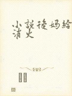 小说后妈给我消消火