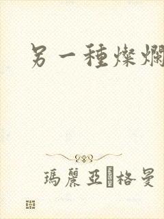 另一种灿烂生活