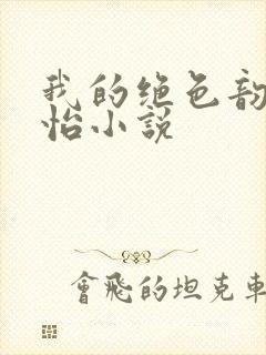 我的绝色韵母郑怡小说