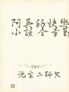 阿兵的快乐生活小说 全章节阅读免费