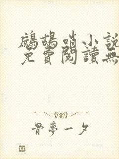 鹧鸪哨小说网站免费阅读无弹窗