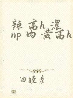辣 高h 浓 np 肉 黄高h
