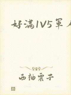 好满1V5军人