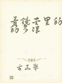 看镜子里的你叫的多浪