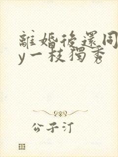 离婚后还同居by一枝独秀