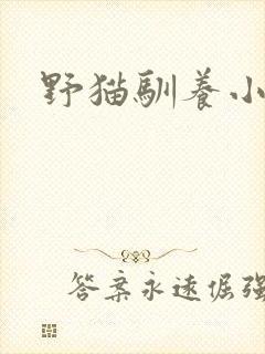 野猫驯养小说