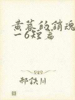 黄蓉的销魂夜1一6短篇