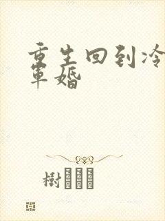 重生回到冷战前军婚