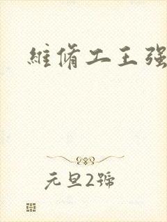 维修工王强张婷