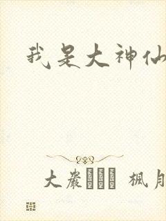我是大神仙小说