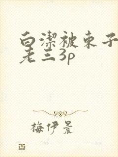 白洁被东子老二老三3p