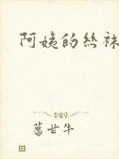 阿姨的丝袜小说