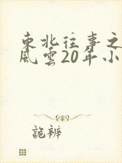东北往事之黑道风云20年小说