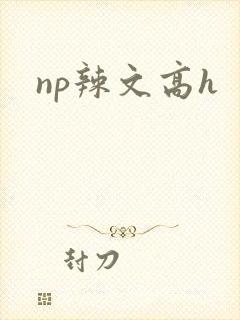 np辣文高h