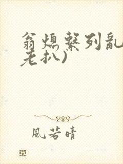 翁熄系列乱 (老扒)